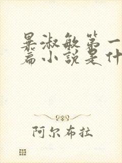 毕淑敏第一部长篇小说是什么