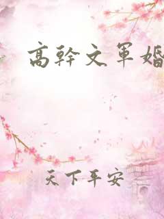 高干文军婚 高干文军婚