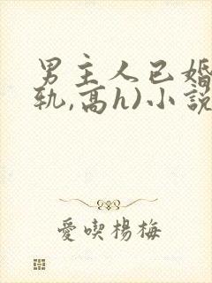 男主人已婚(出轨,高h)小说