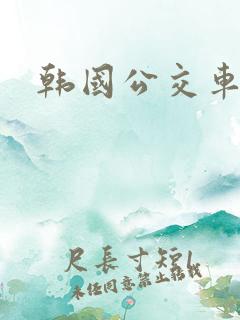 韩国公交车三级
