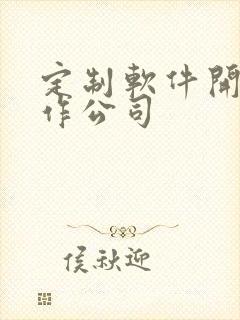 定制软件开发制作公司 定制软件开发制作公司