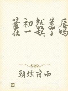 萧初然叶辰最后在一起了吗