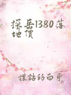 探岳l380落地价
