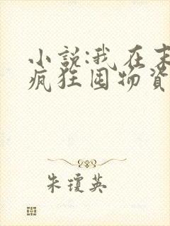小说:我在末世疯狂囤物资