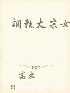 调教大宋女主