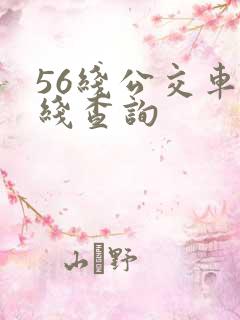 56线公交车路线查询 56线公交车路线查询