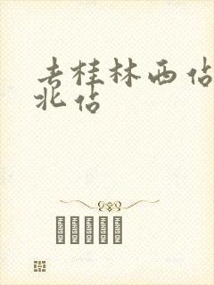 去桂林西站还是北站