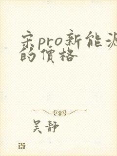 宋pro新能源的价格