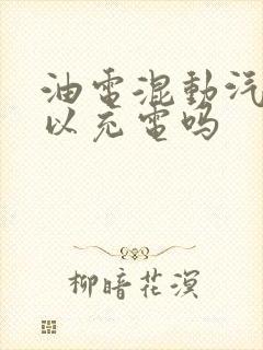 油电混动汽车可以充电吗