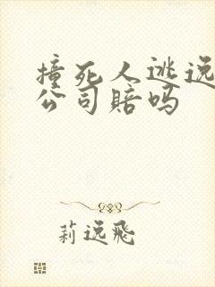 撞死人逃逸保险公司赔吗