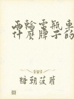 两轮电瓶车都有什么牌子的