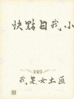 快点日我小说