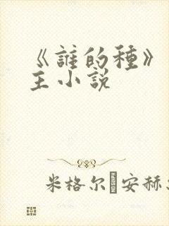 《谁的种》双男主小说