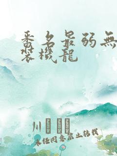 番名最弱无败神装机龙 番名最弱无败神装机龙