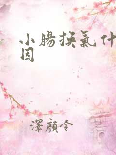 小肠换气什么原因