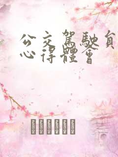 公交驾驶员服务心得体会