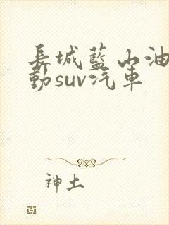 长城蓝山油电混动suv汽车