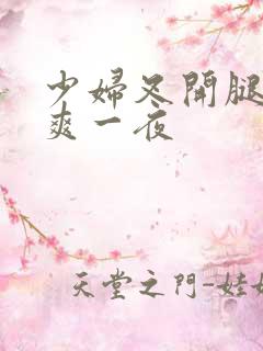 少妇叉开腿让我爽一夜