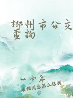 郴州市公交线路查询