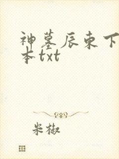 神墓辰东下载全本txt 神墓辰东下载全本txt