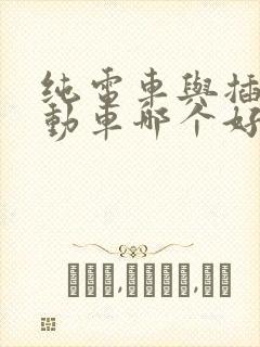 纯电车与插电混动车哪个好