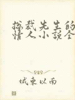 总裁先生的契约情人小说全文阅读