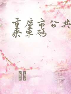重庆市公共交通乘车码
