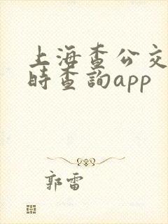 上海查公交车实时查询app