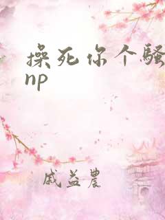 操死你个骚母狗np 操死你个骚母狗np