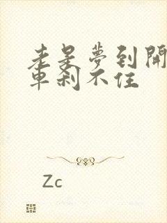 老是梦到开车刹车刹不住