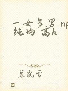 一女多男 np 纯肉 高h
