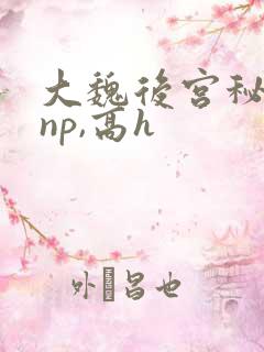 大魏后宫秘史(np,高h