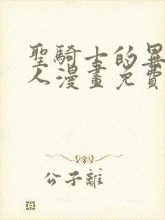 圣骑士的异世恋人漫画免费观看