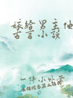 嫁给男主他爹的古言小说