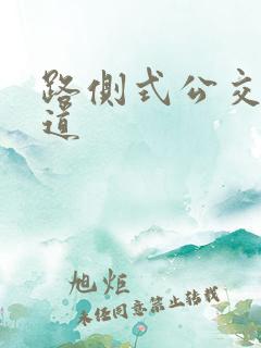 路侧式公交专用道 路侧式公交专用道