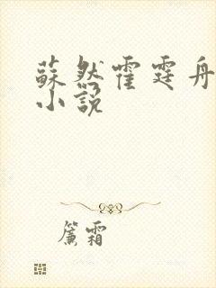 苏然霍霆舟叶南小说
