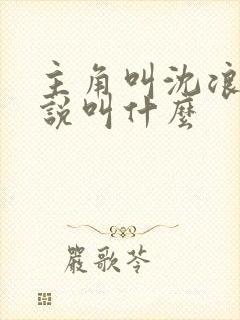 主角叫沈浪的小说叫什么