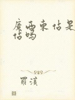 广西东站是高铁站吗