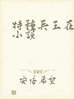 特种兵王在乡村小说