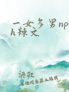一女多男np高h辣文
