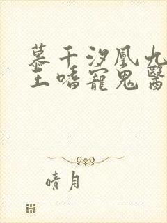 慕千汐凰九夜邪王嗜宠鬼医狂妃无弹窗