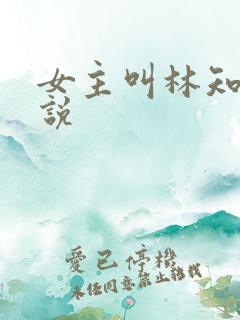 女主叫林知的小说