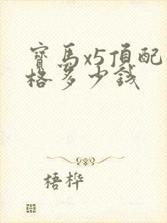 宝马x5顶配价格多少钱