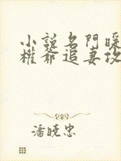小说名门暖婚之权爷追妻攻略