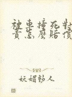 被车撞死对方全责怎么赔偿