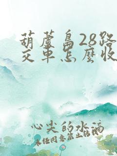 葫芦岛28路公交车怎么收费