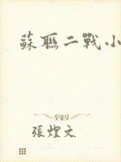 苏联二战小说