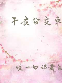 午夜公交车在线