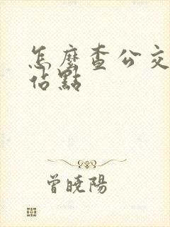 怎么查公交实时站点