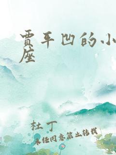 贾平凹的小说占座